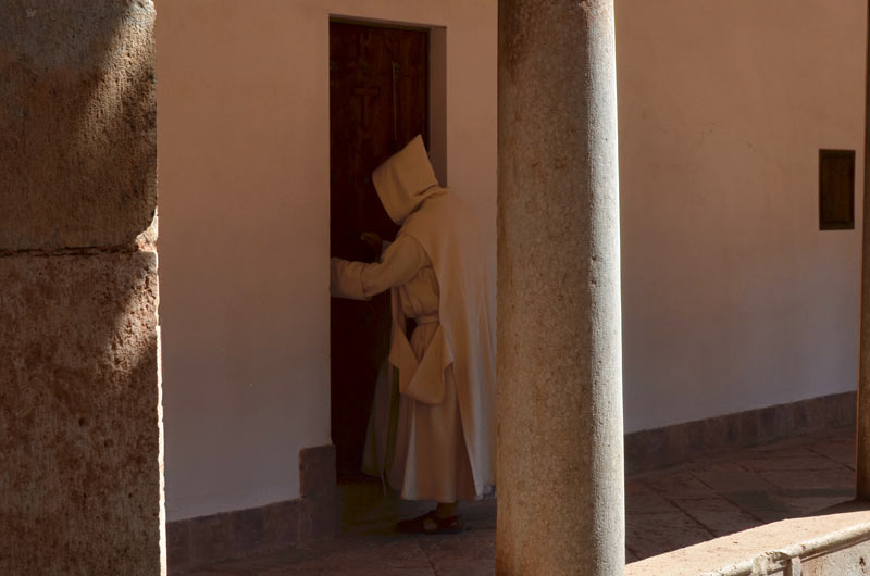 El monasterio cartujano